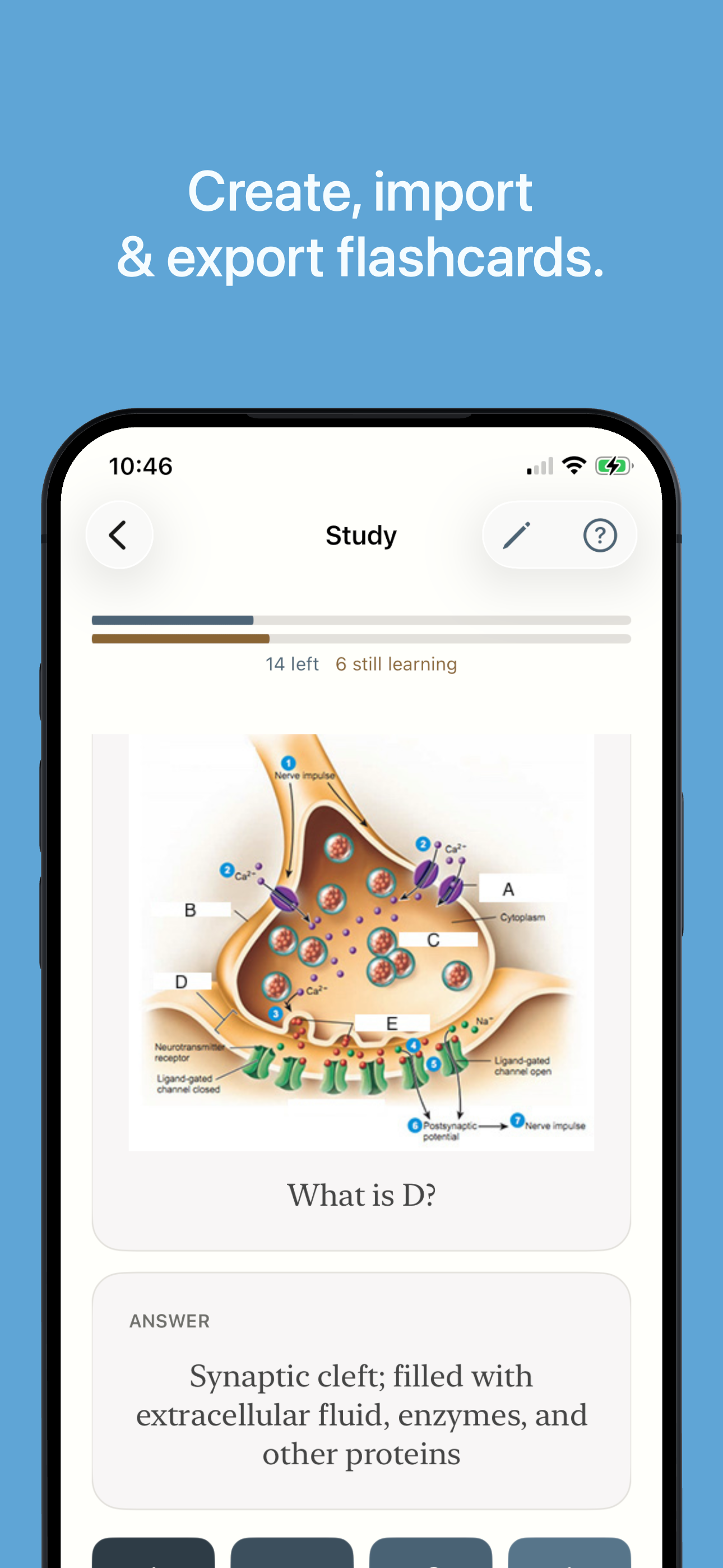 Truly Simple Flashcards iOS screenshot 1