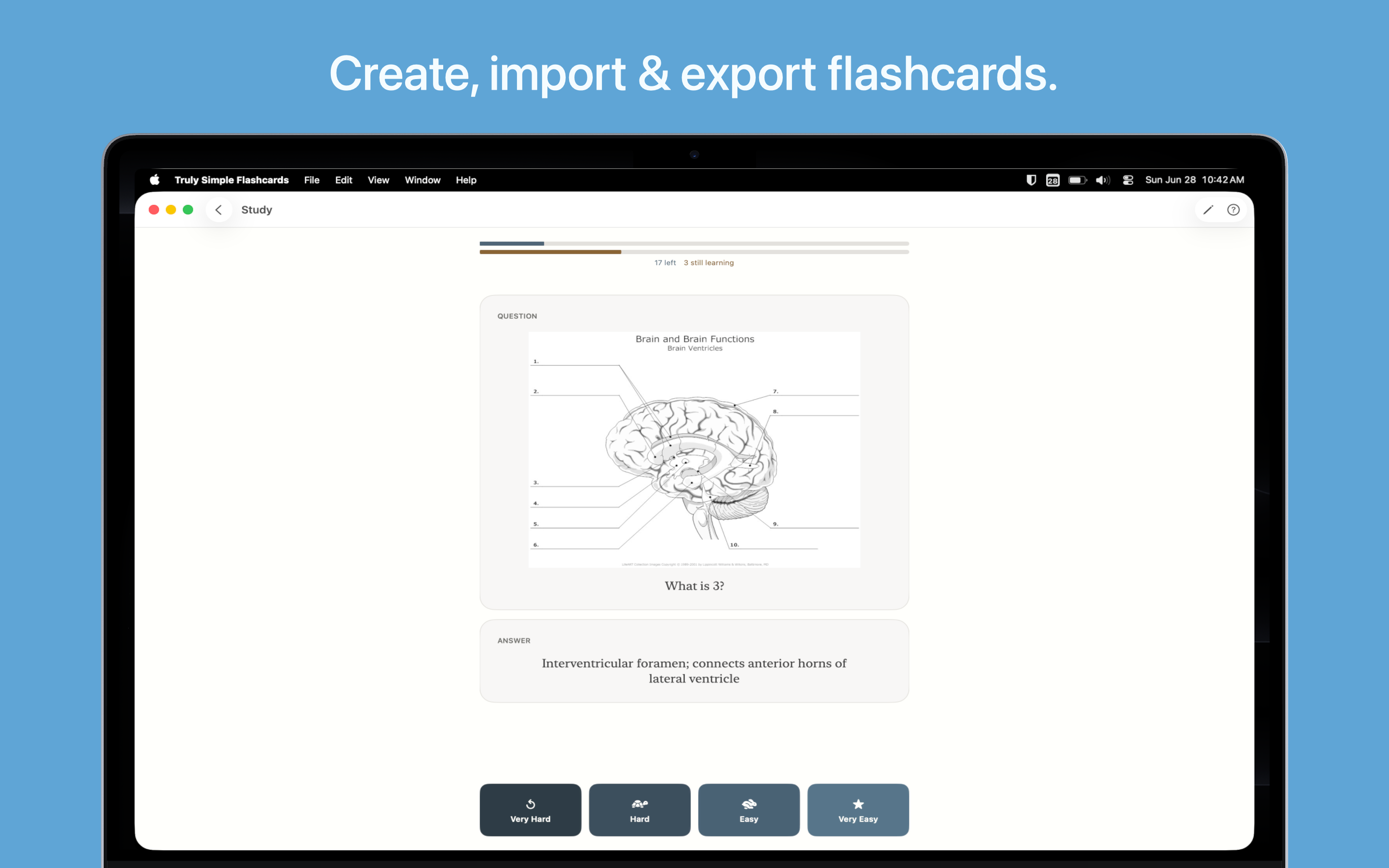 Truly Simple Flashcards macOS screenshot 1
